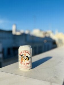blog_8-tips-malaga_14