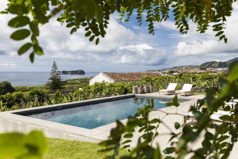 Guava Azores