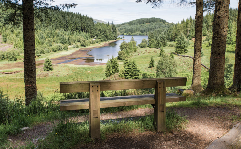 Three Lochs Forest Drive