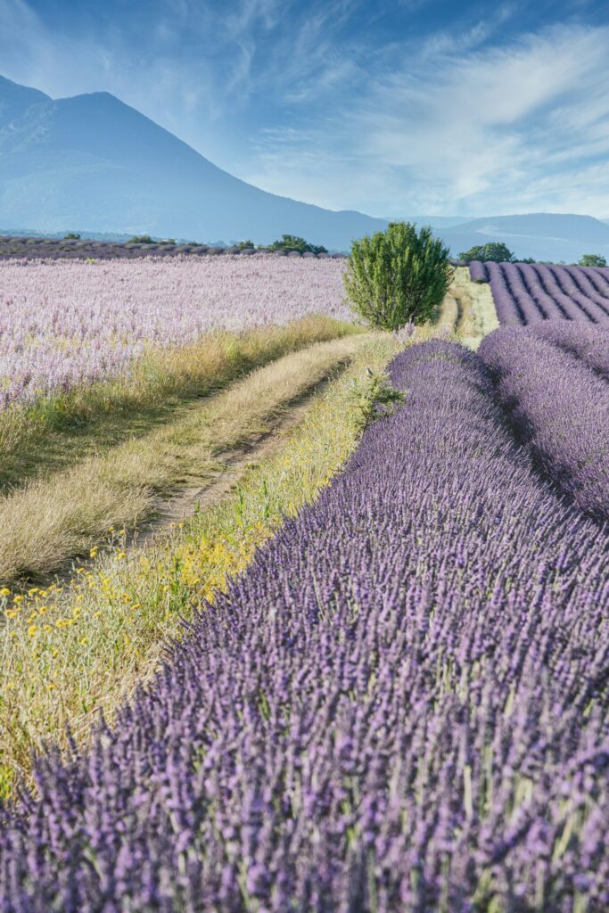 Provence Frankrijk