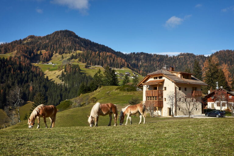Chalet Sotciastel