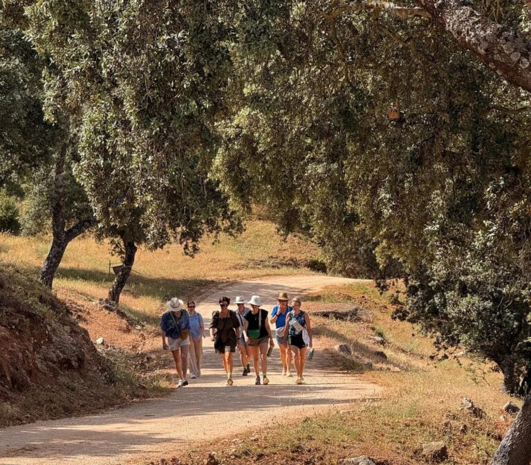 Wandering Ladies