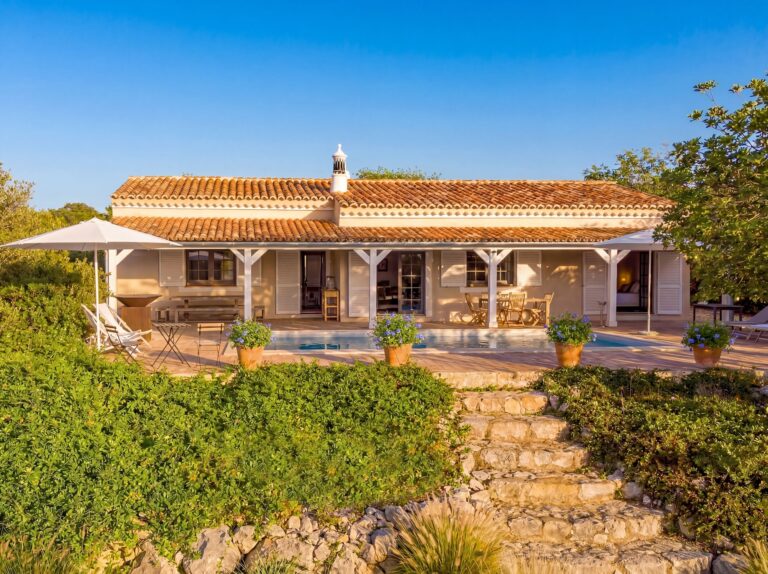 Andorinhas do Mar Algarve